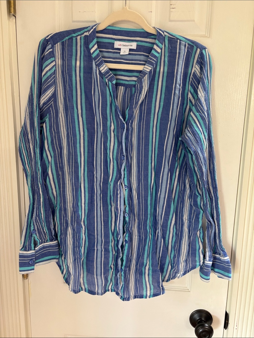 Liz Claiborne Blue & Aqua Striped Button-Down Shirt